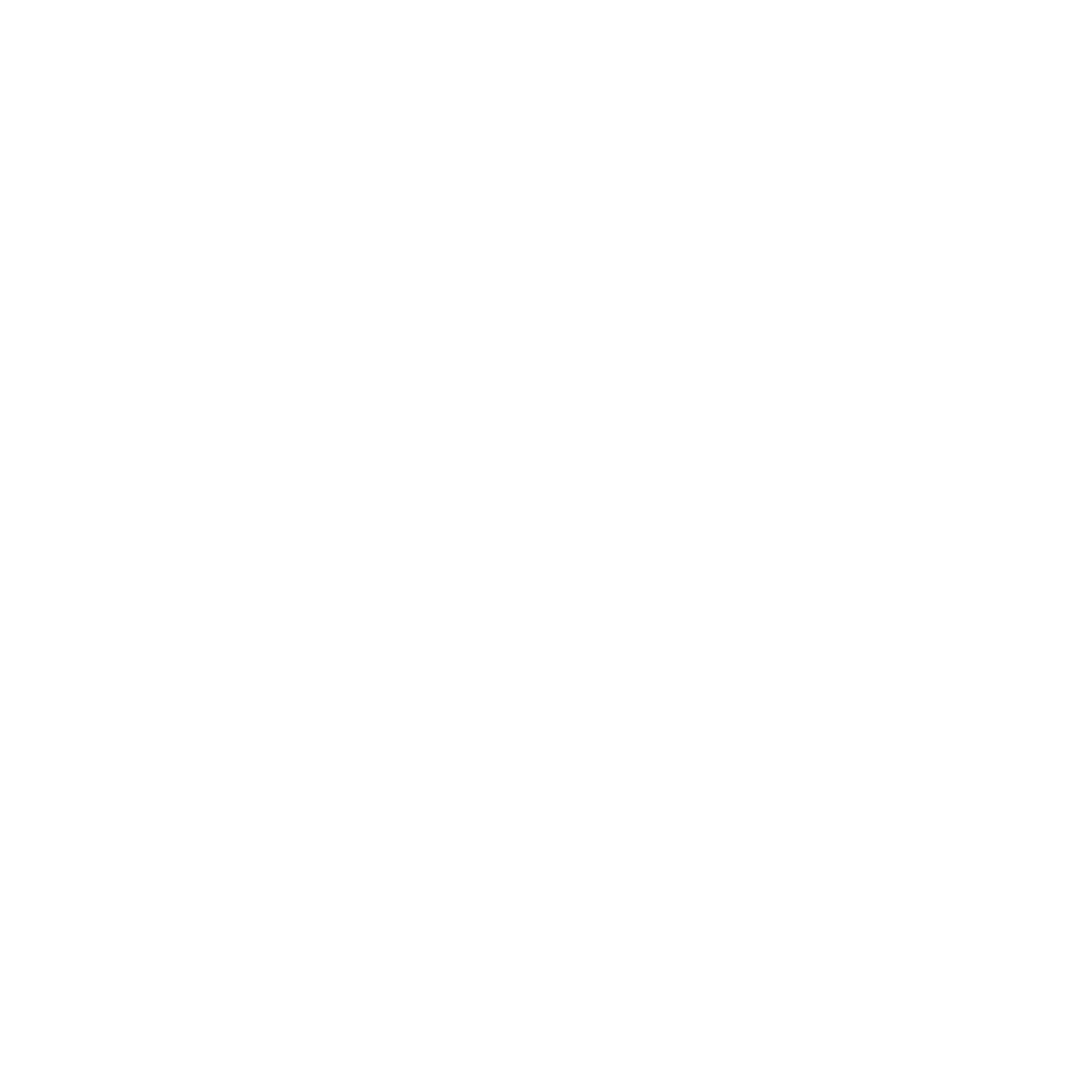 Ícone TikTok