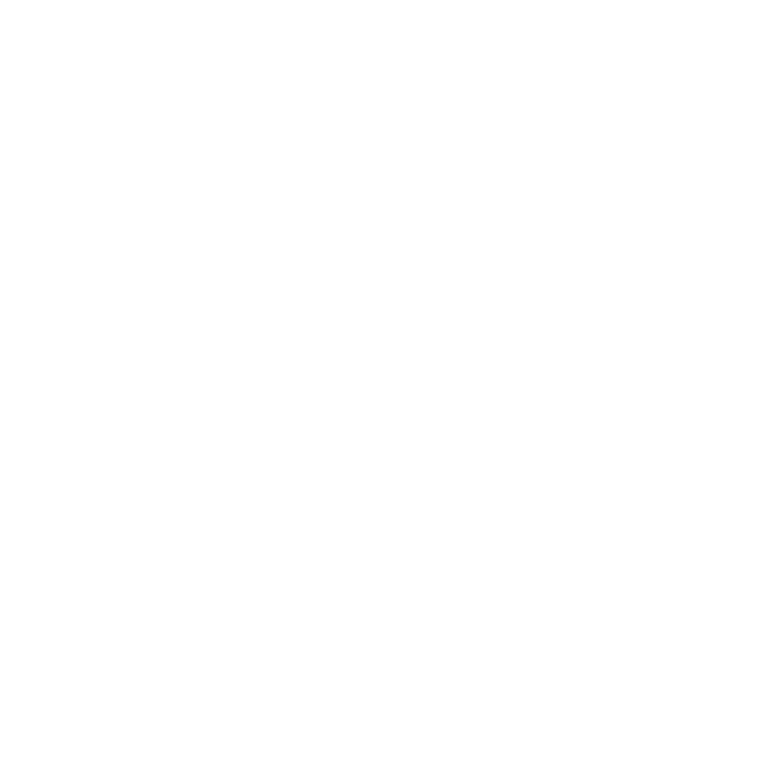 Ícone Shopee